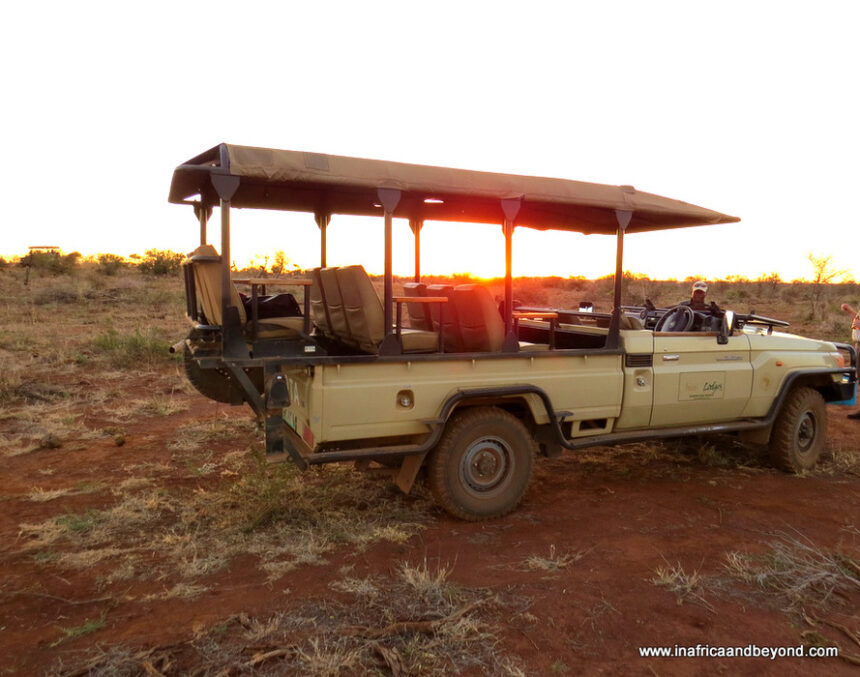 Must-have Apps to download before your Safari Adventure - In Africa and Beyond