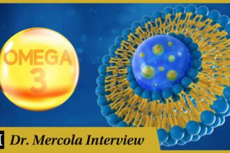 Nils Hoem - The Importance of Omega-3 for Cell Membrane Functionality