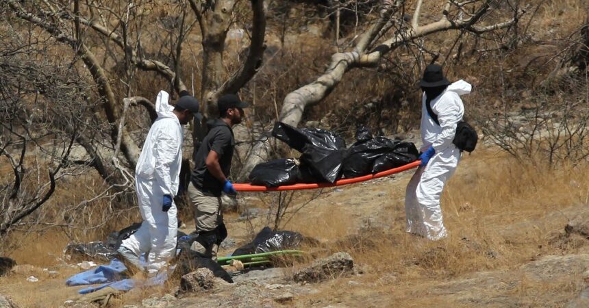 Remains Match Traits of Missing Call Center Workers in Mexico, Officials Say