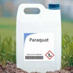 Secret Push to Bury Paraquat's Link to Parkinson's Disease