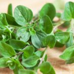 Top Five Health Benefits of Marjoram