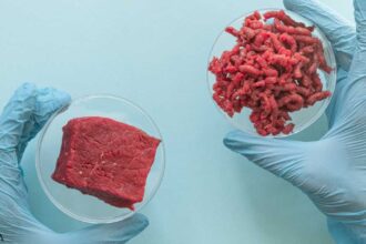 What They Don't Want You to Know About Lab-Grown Meat