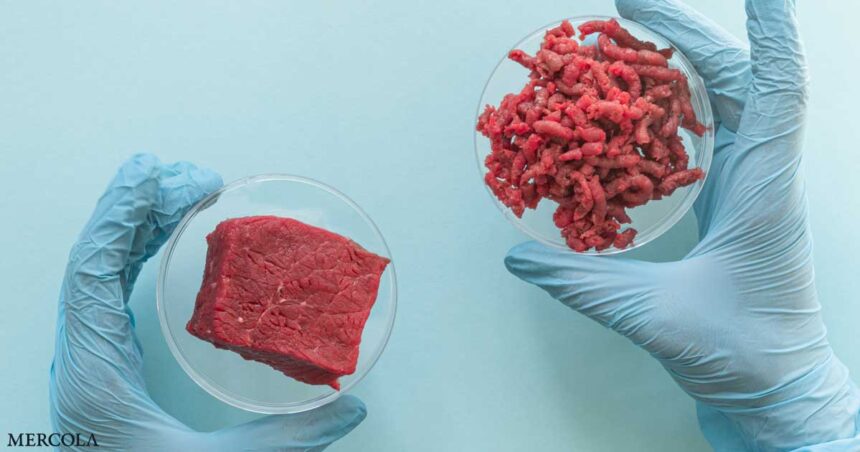 What They Don't Want You to Know About Lab-Grown Meat