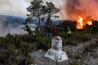 34 Killed in Algerian Wildfires as Heat Waves Parch Mediterranean Region