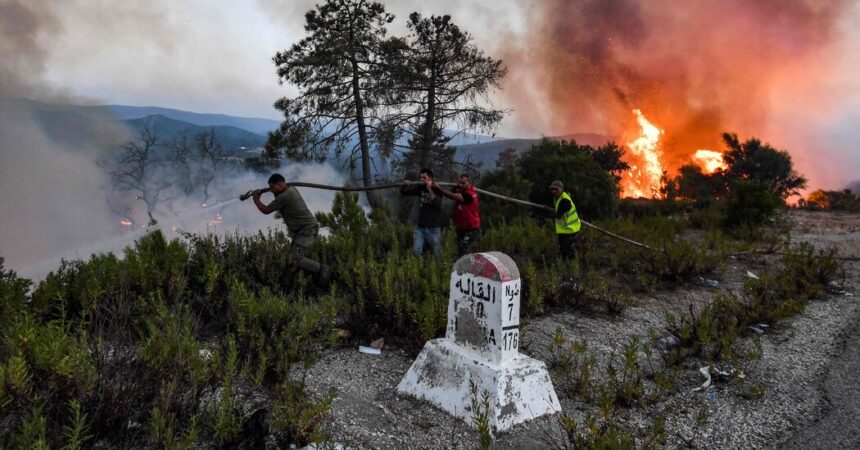 34 Killed in Algerian Wildfires as Heat Waves Parch Mediterranean Region