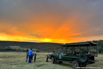 An Idyllic Family Safari Hideaway