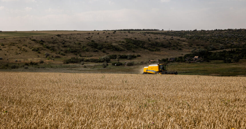 Black Sea Grain Deal in Balance as Deadline Looms Again