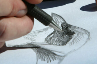 David Sibley explains how drawing birds makes you a “thoughtful observer”