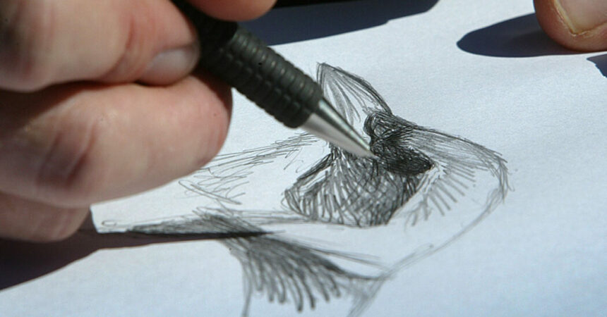 David Sibley explains how drawing birds makes you a “thoughtful observer”