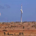 Deforesting the Amazon for Green Energy Windmills?