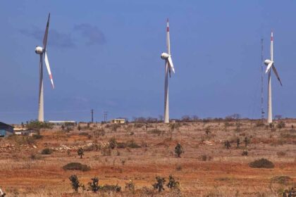Deforesting the Amazon for Green Energy Windmills?
