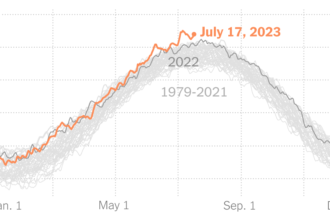 Here’s Where Global Heat Records Stand So Far in July