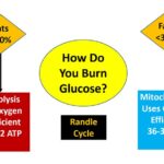 how do you burn glucose