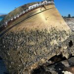 Mystery Object Is Found on Remote Beach in Western Australia