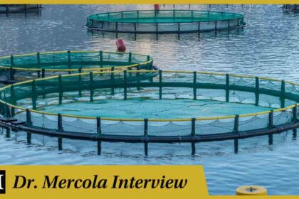 Paul Molyneaux - Swimming in Circles: Aquaculture and the End of Wild Oceans