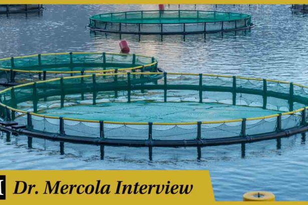 Paul Molyneaux - Swimming in Circles: Aquaculture and the End of Wild Oceans