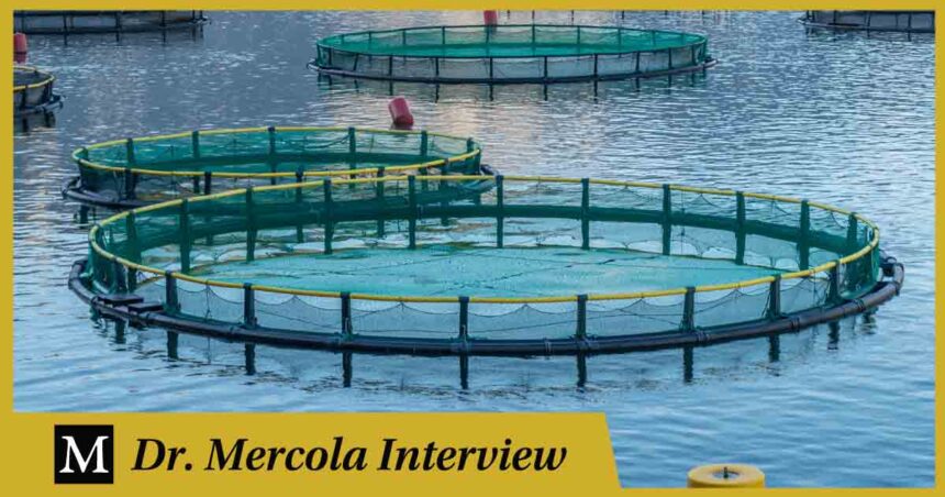 Paul Molyneaux - Swimming in Circles: Aquaculture and the End of Wild Oceans