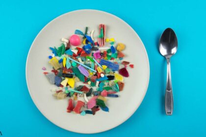 Researchers Find Microplastics in Stool Samples
