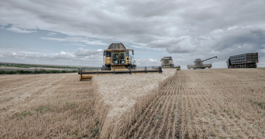 Russia Pauses Participation in the Black Sea Grain Deal