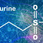 The Wide-Ranging Health Benefits of Taurine