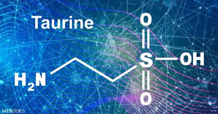 The Wide-Ranging Health Benefits of Taurine