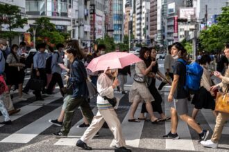 UN says climate phenomenon likely to break temperature records