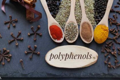 What Are Polyphenols and Why Do We Need Them?