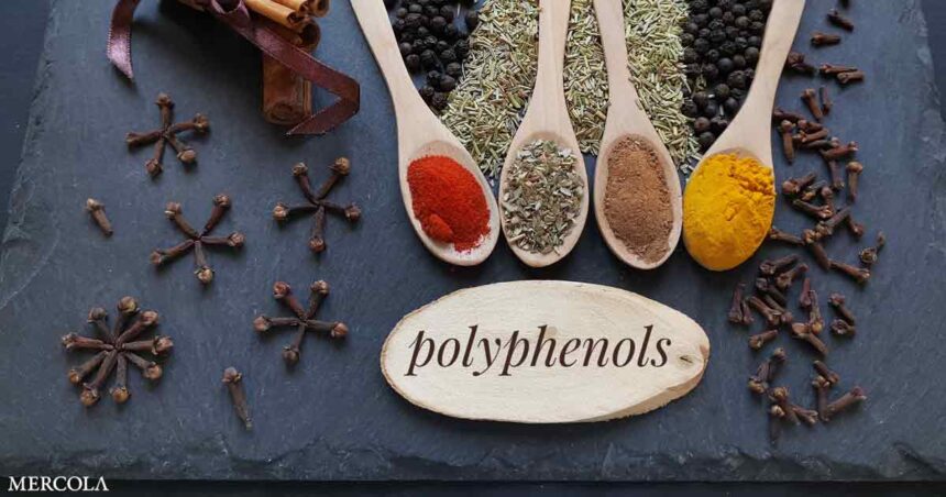 What Are Polyphenols and Why Do We Need Them?