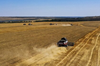 What does it mean for global food prices