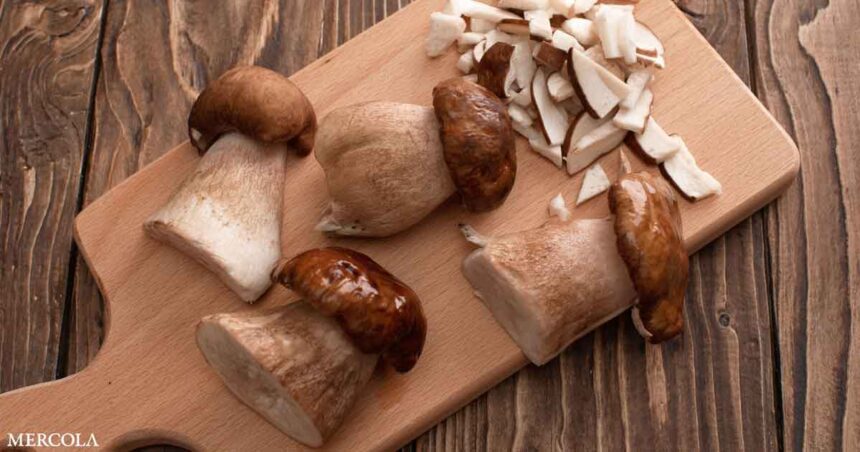 Why You Should Be Eating More Porcini Mushrooms