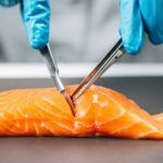 Why the Bioengineered Salmon Project Got Paused