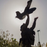 A Drone’s View Behind Russian Lines: Cratered Fields and Charred Armor