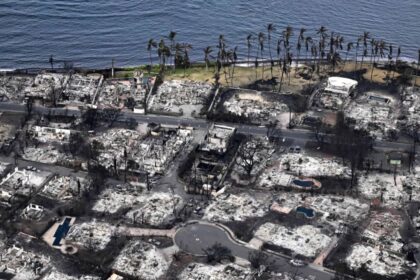 Aerial photos show destruction as wildfires ravaged Lahaina, Hawaii