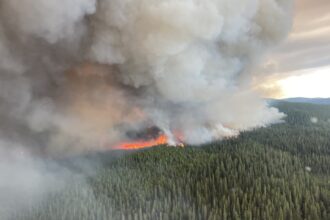 Emissions more than double previous annual record