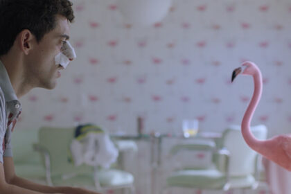 Five International Movies to Stream Now