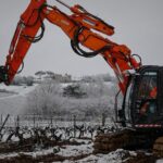 France pays winemakers to rip up vines on Bordeaux uncertainty