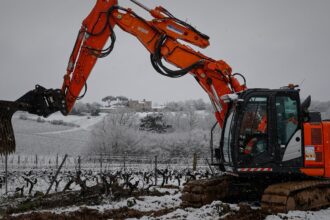 France pays winemakers to rip up vines on Bordeaux uncertainty