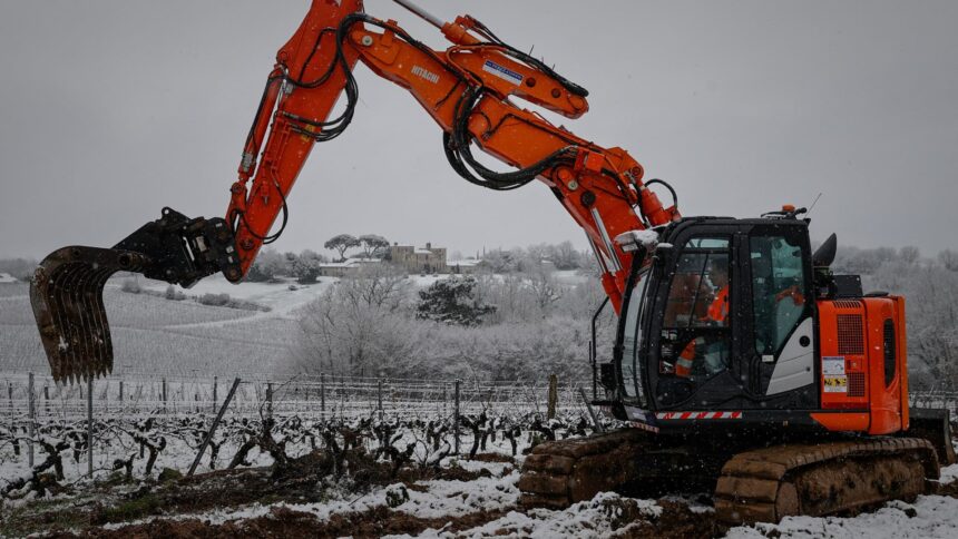 France pays winemakers to rip up vines on Bordeaux uncertainty