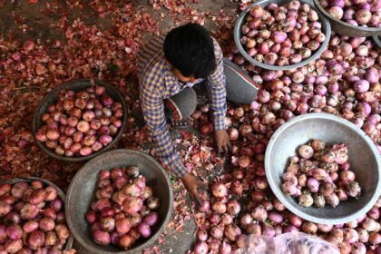 Global onion prices could rise after India export tax