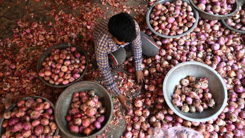 Global onion prices could rise after India export tax