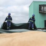 Workers uncover the canvas covering the grain transported on Grain Bulk Handlers