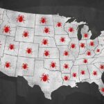 Lyme Disease Now Found in All US States