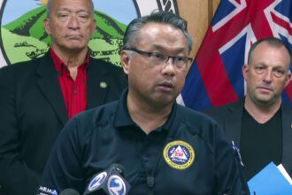 Maui emergency chief resigns after not activating sirens during wildfire