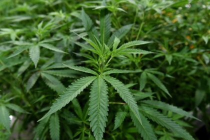 Poseidon Dynamic Cannabis ETF to close as investor interest wanes