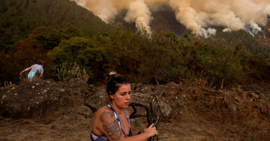 Residents Try to Protect Homes From Wildfire in Canary Islands