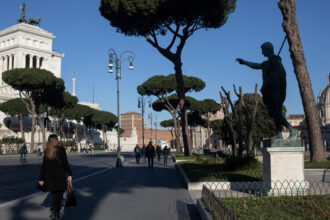 Rome’s Umbrella Pines Are in Danger