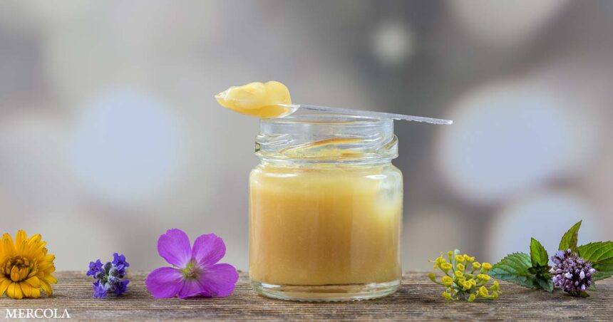 Royal Jelly Shows Promise in Assisting Stem Cell Research