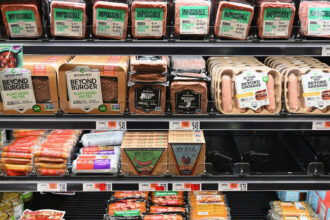 Southeast Asia turns to alternative meats as fight against climate change ramps up