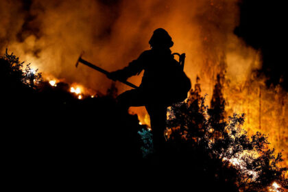 Tenerife Wildfire Forces Thousands to Evacuate
