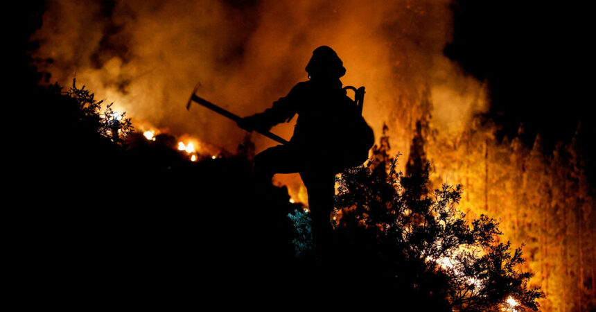 Tenerife Wildfire Forces Thousands to Evacuate